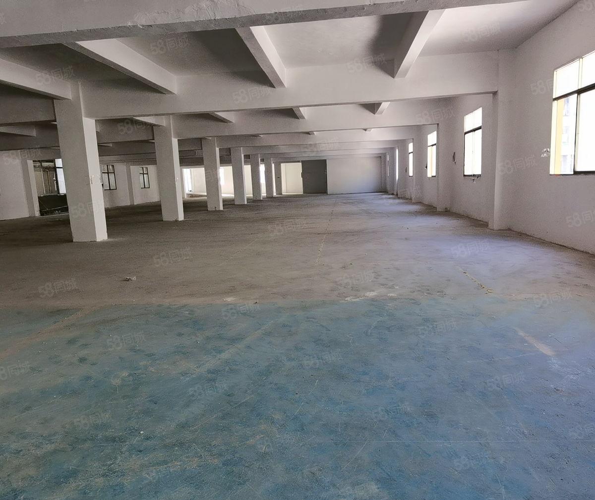 独门独院二层标准厂房可分，原房东直租，院子空地大，精装办公室