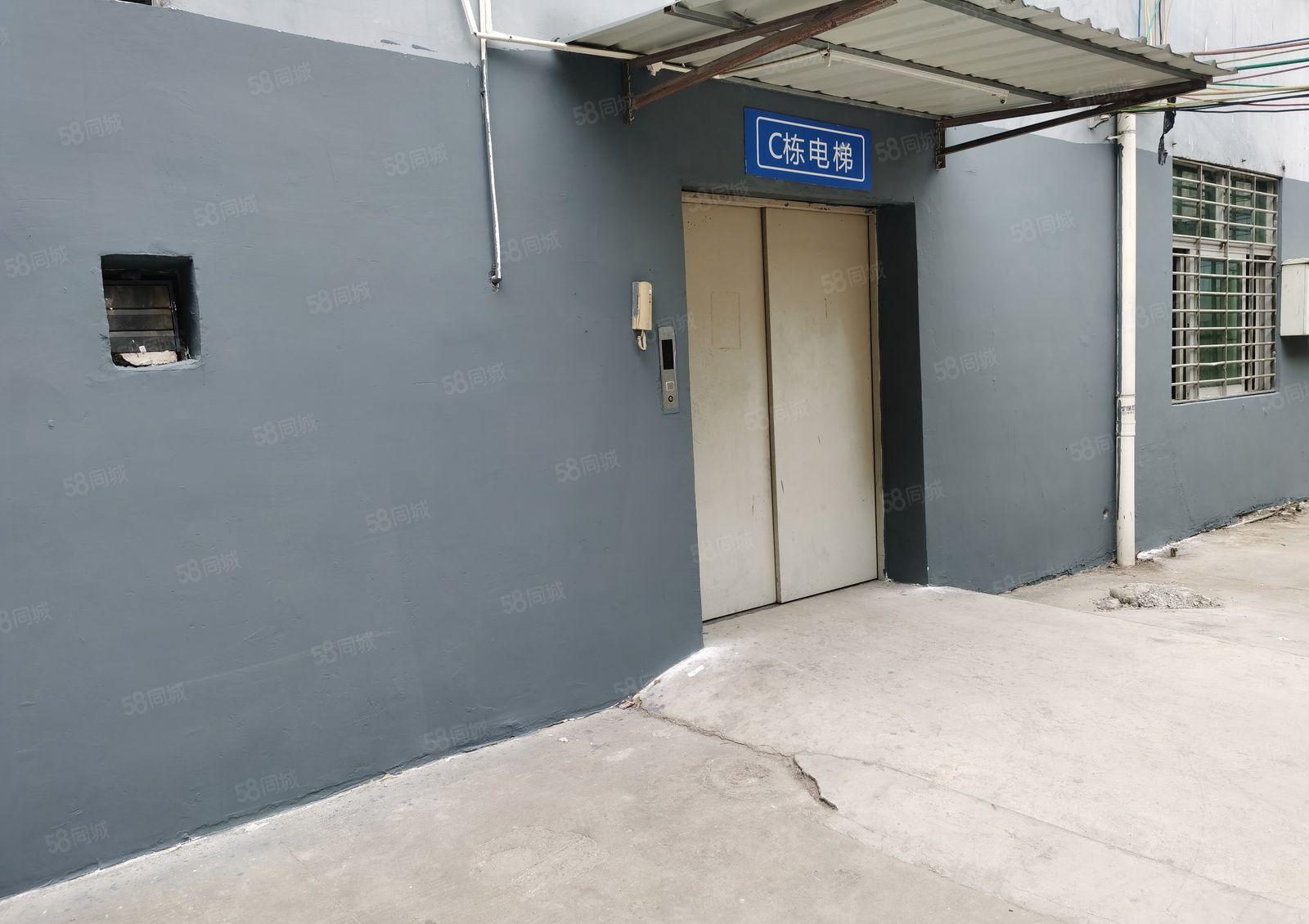 精装修厚街园区1600厂房