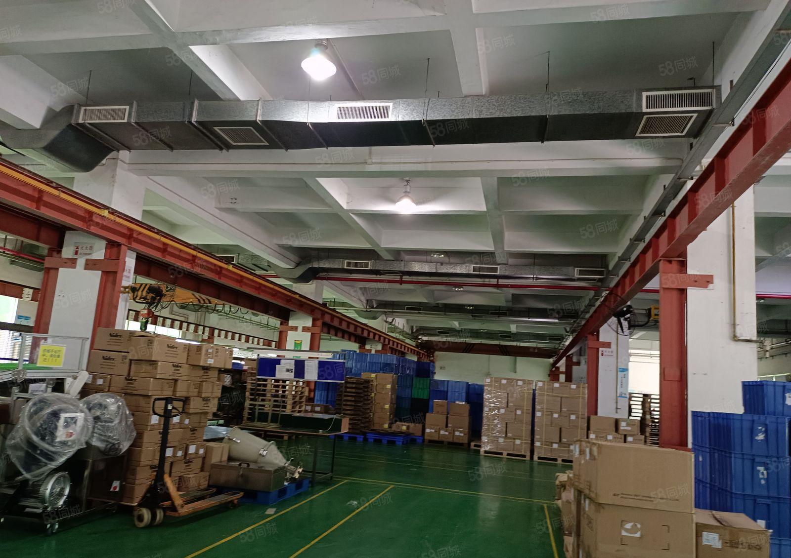 塘厦外环高速口新出独院厂房16500平方原房东直租，可分租！