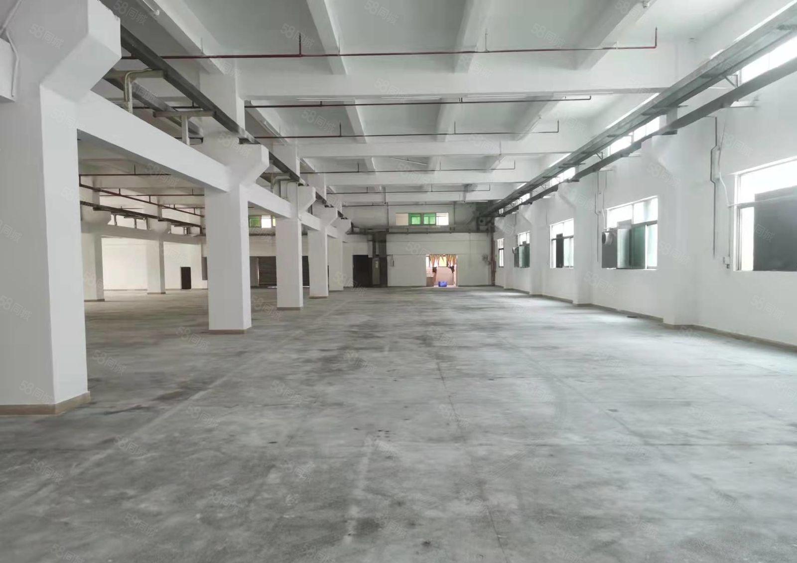 塘厦林村一手房东独栋厂房7500平大小可分无公摊厂房仓库出租