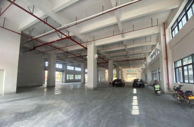 塘厦独院一楼1400平仓库厂房出租，带牛角位不限行业可进大车