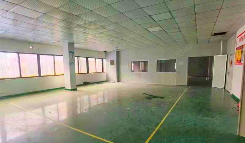 特价特价 15元每平！塘厦科苑城新出1450平 带洁净车间