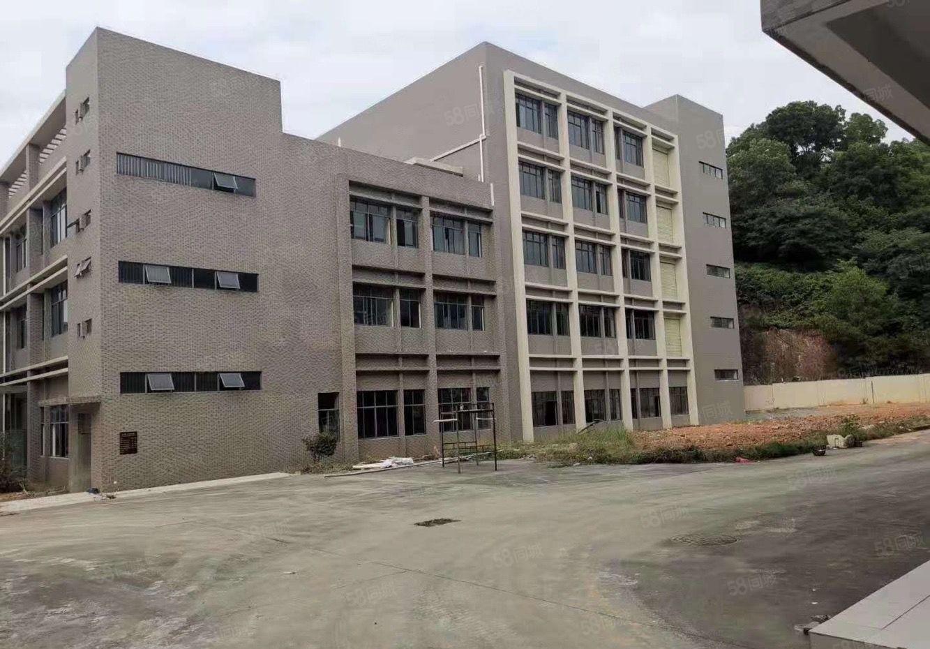 塘厦168工业园独院厂房出租每层2000平可租有一楼可分租