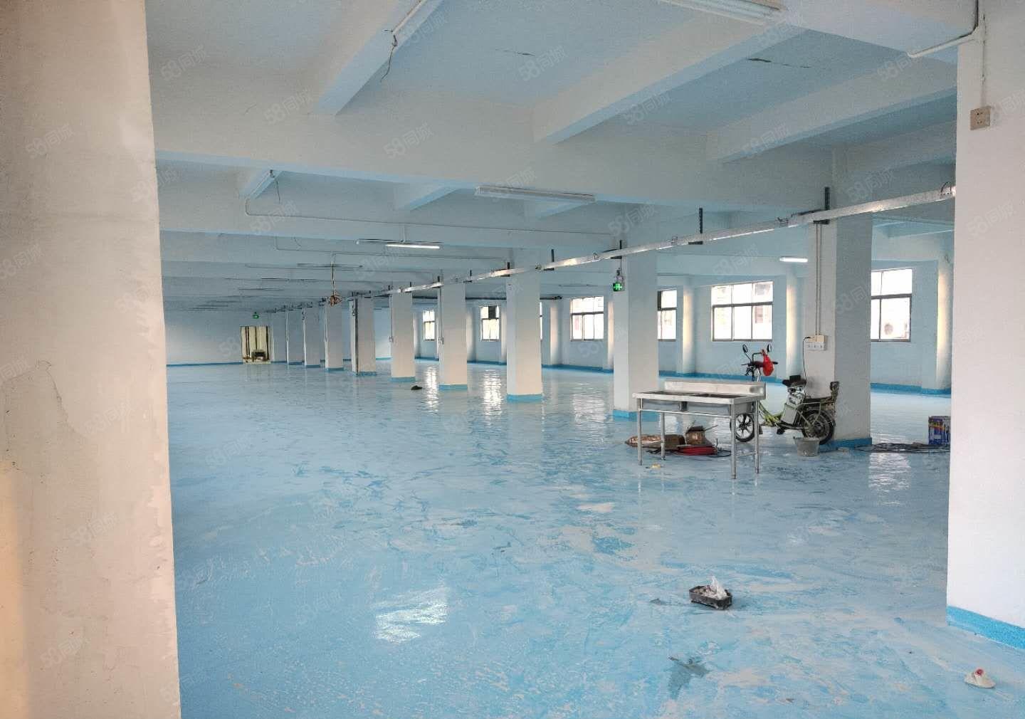 2百平起分租！塘厦田心工业区原房东1680平独栋仓库厂房出租