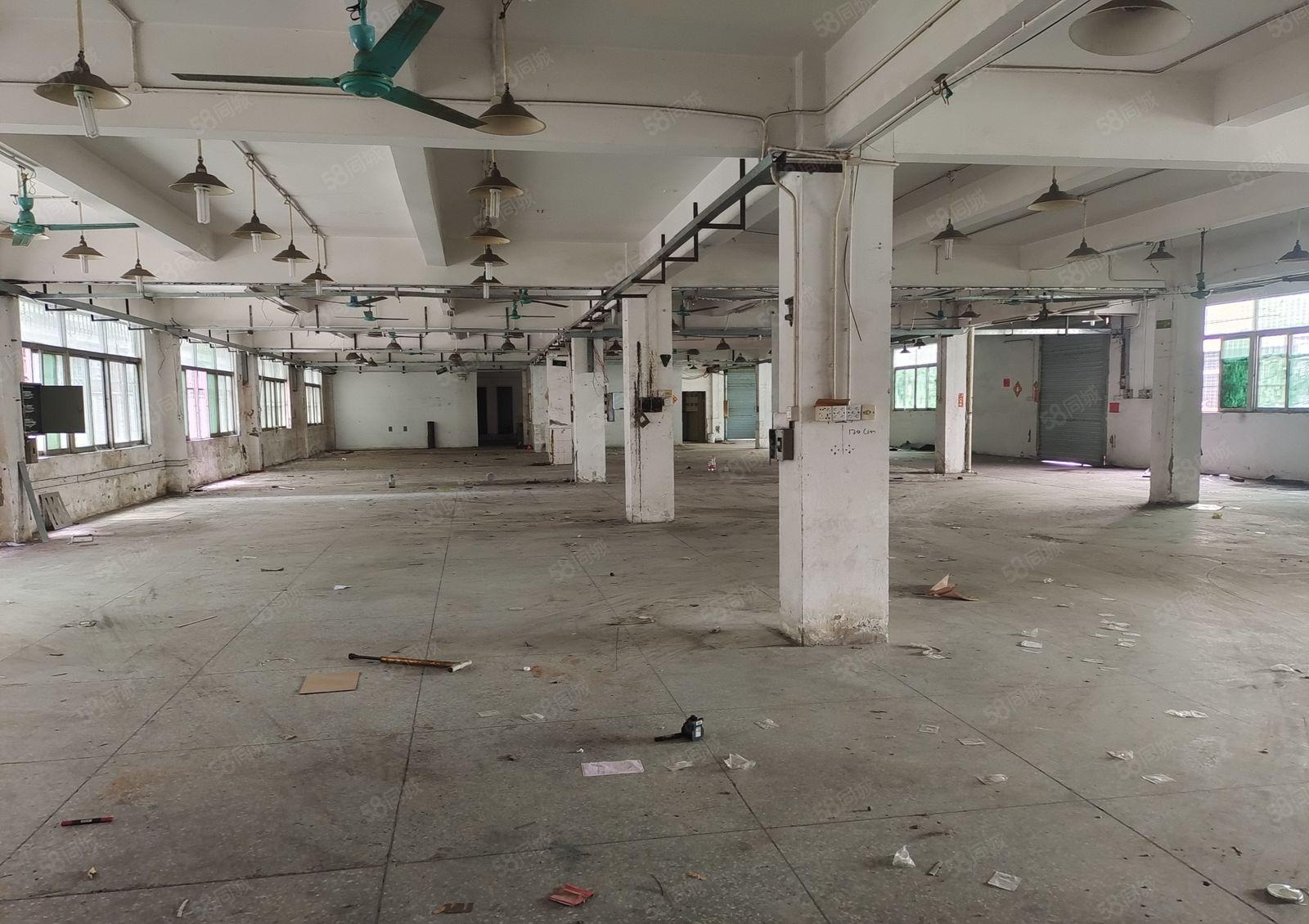 塘厦一楼1000平方厂房出租，现成办公室和水电，拎包生产