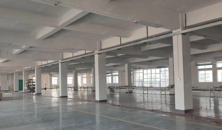 塘厦全新厂房一楼 门口进出大车随便停 欢迎实看