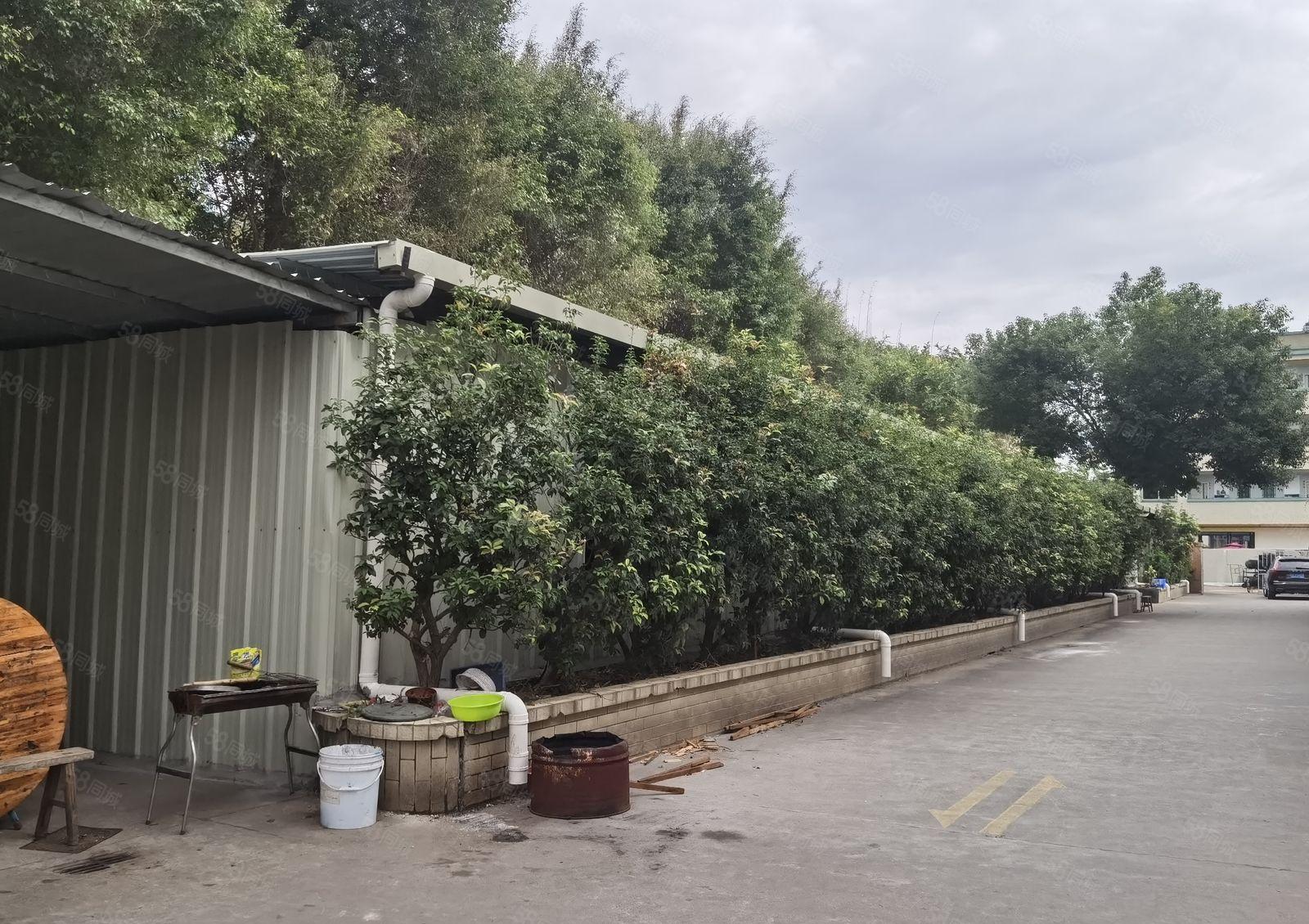 塘厦万科生活广场附近钢构厂房一楼招租 详细电聊