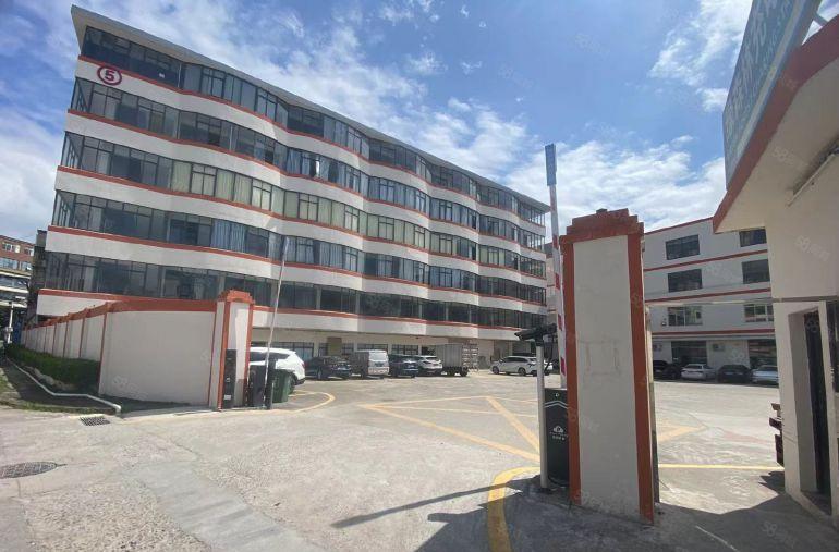 林村新空一手房东豪华装修楼上650平方