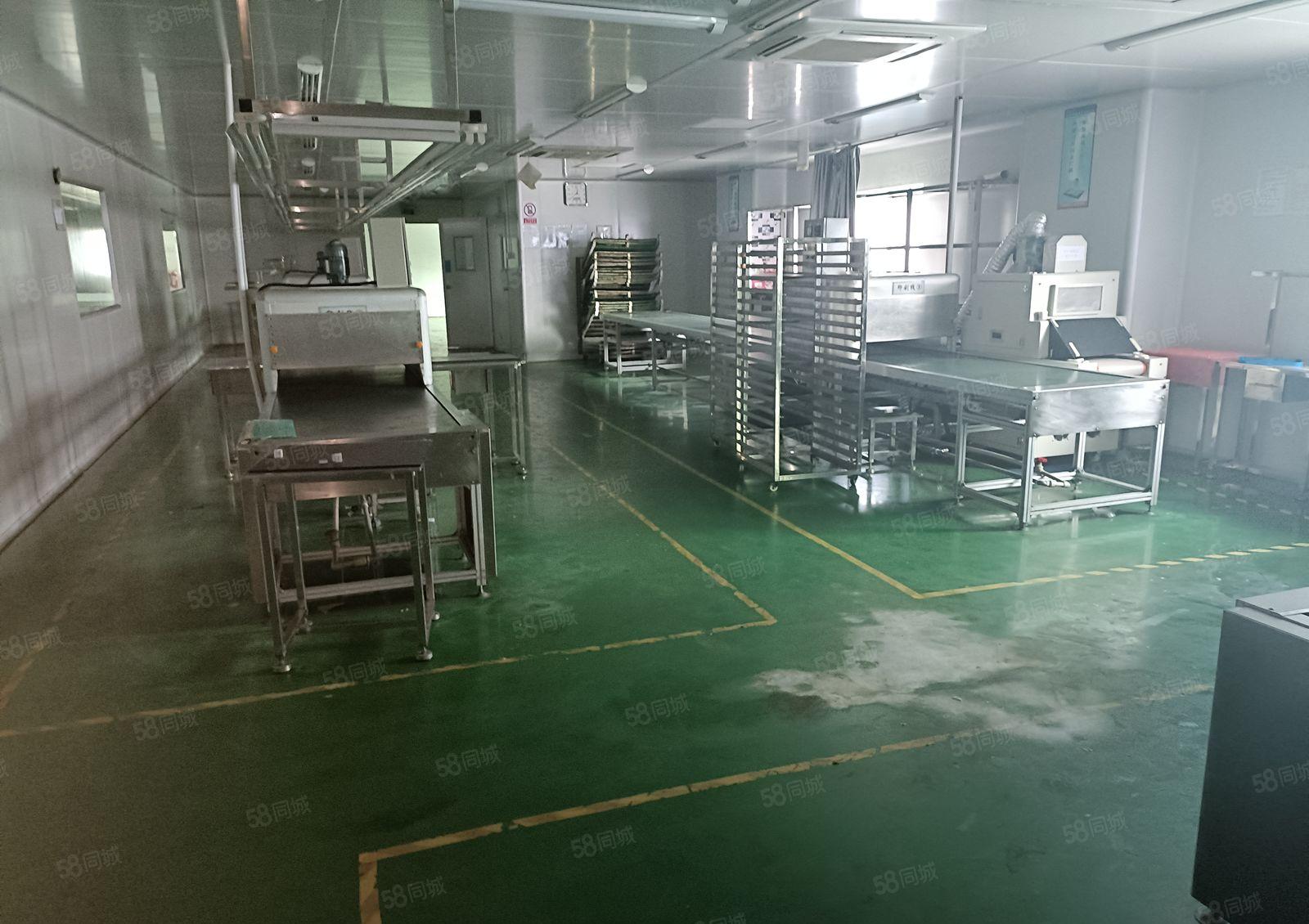 塘厦石鼓新出独门独院10000平厂房出租，高速近大车进出方便