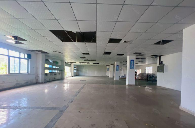 塘厦蛟乙塘标准3楼1000平，大气前台，现成吊顶地坪漆精装修