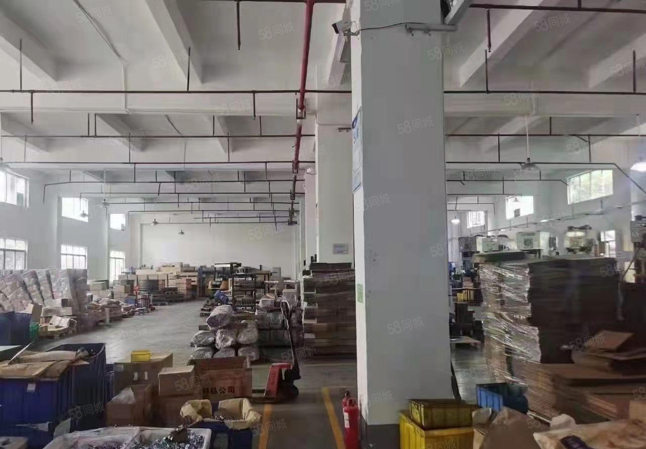 东莞塘厦科苑城新出一楼厂房1400平米出租