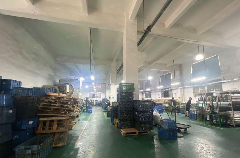 塘厦平山原房东直租标准1楼1400平方，高度6米，带有牛角！