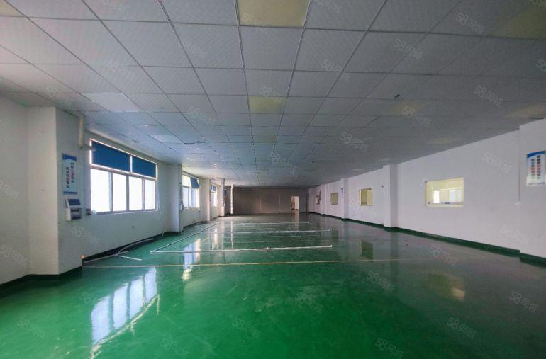 塘厦平山新出楼上1500平方带精装修厂房出租12元，