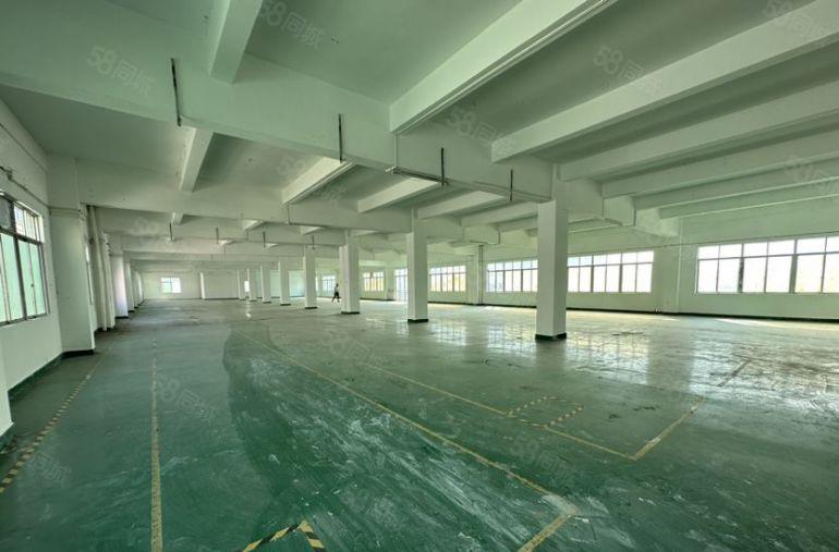 塘厦中心楼上1200平仓库厂房特价13元，格局实用原房东出租