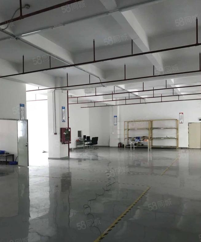 塘厦沙湖5000平经典小独院！现成装修配置火爆招租~