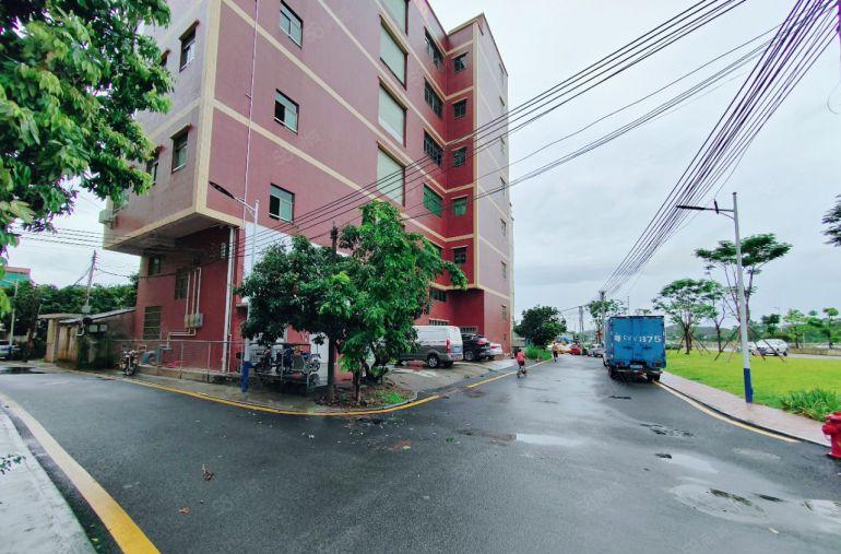 凤凰岗社区花园式厂房靓盘出租厂房500平，四面采光大货梯