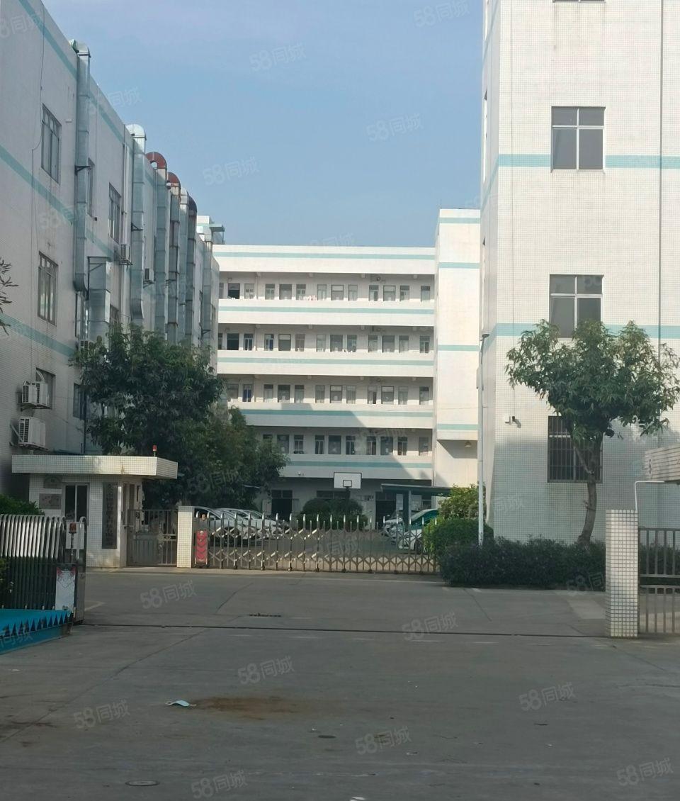 塘厦科苑城楼上460平厂房出租，形象装修好，适合各种行业