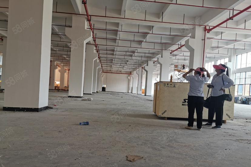 塘厦高速口价格美带卸货平台一楼1000平，丙二类消防仓库厂房