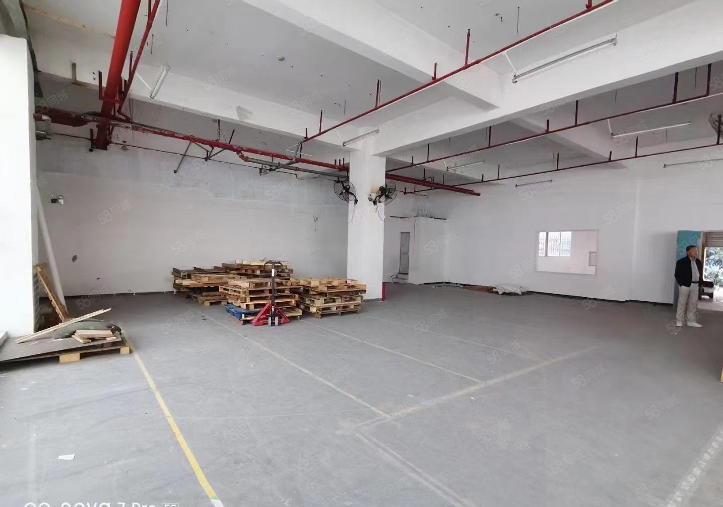 田心原房东一楼300平5800元打包价厂房出租滴水6米易招工