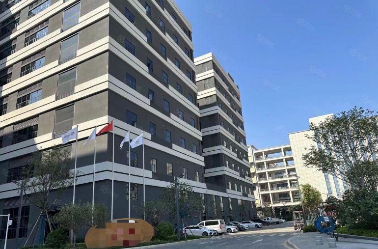 开发商红本面积直租，半年免租期，12元单层2000起厂房出租