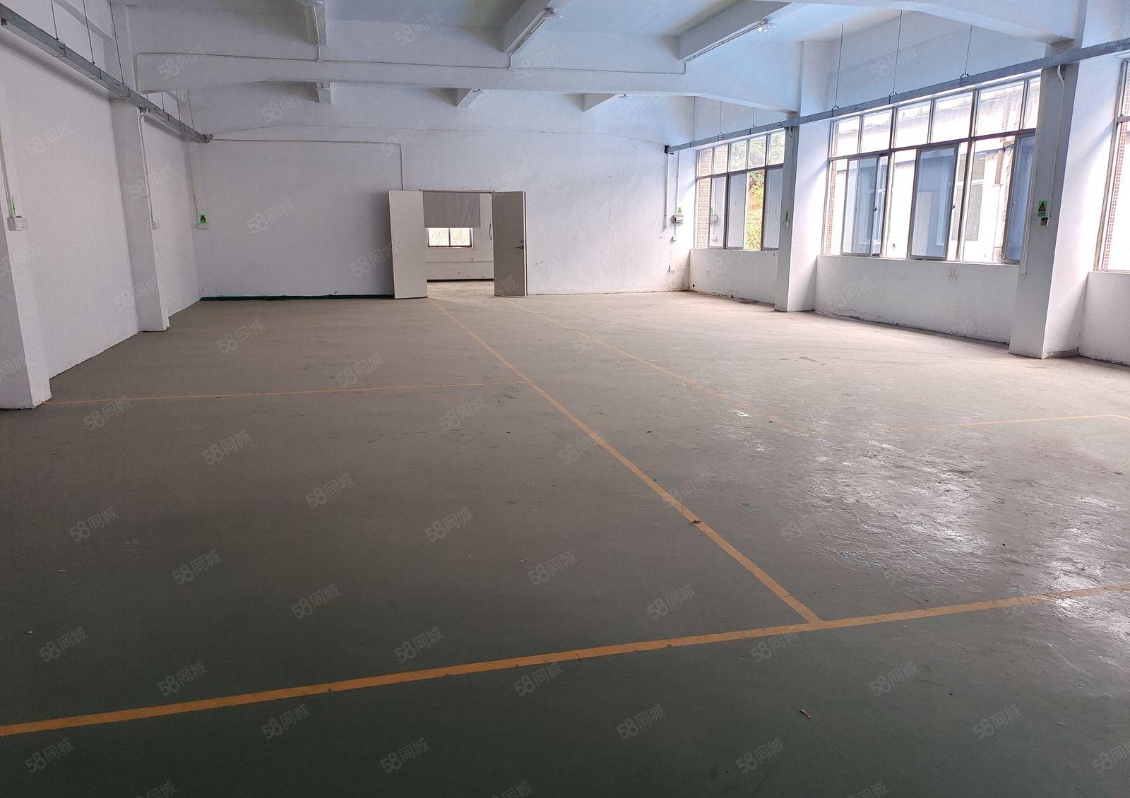 塘厦独门独院标准厂房两层加两层宿舍4800平米，可以做有污染