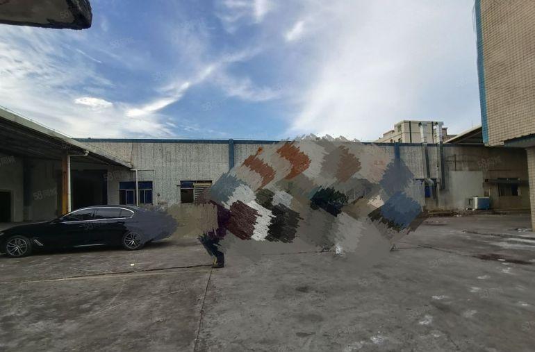 塘厦横塘惊现原房东独院6500平方滴水8米可分租带卸货平台！