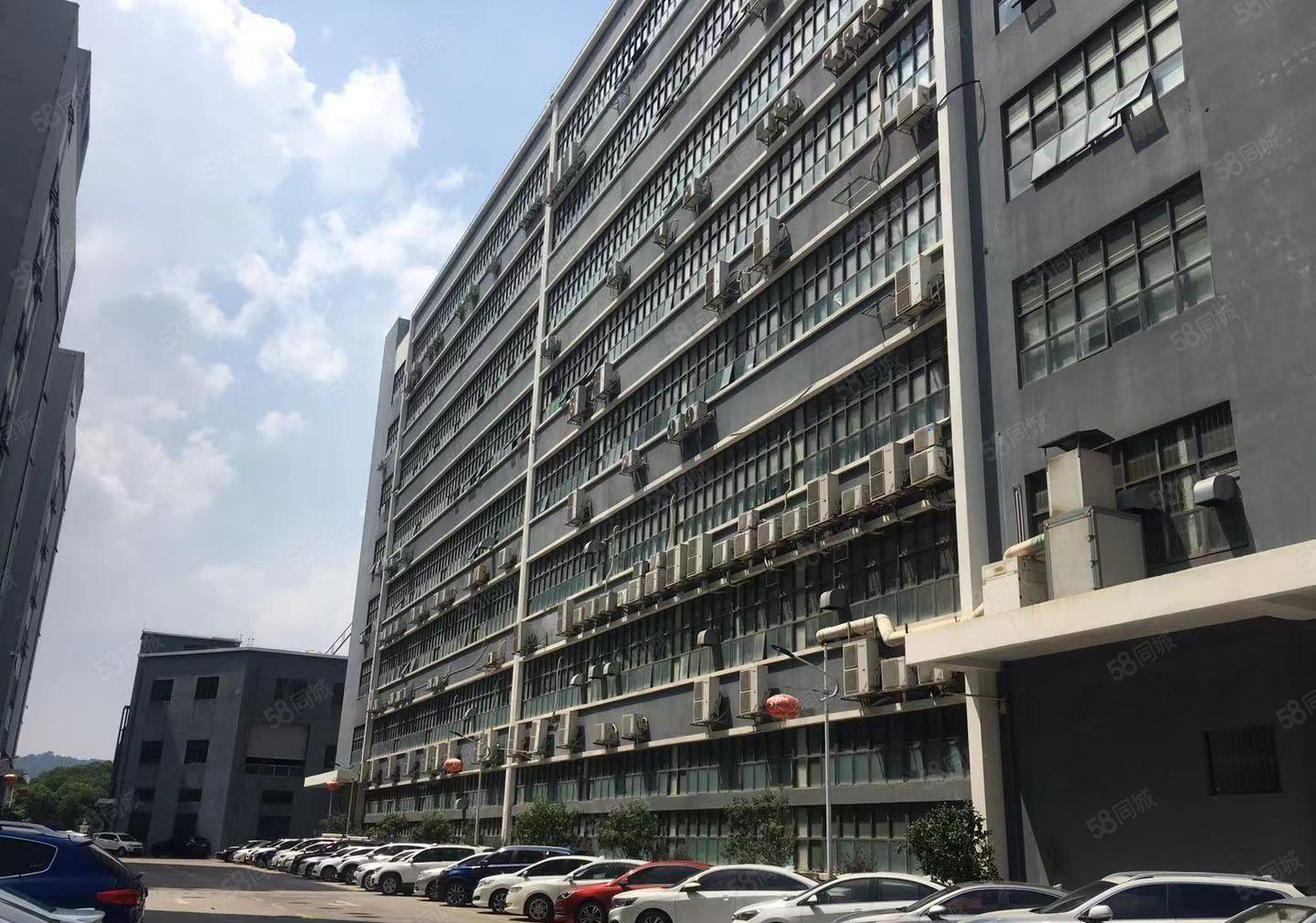 塘厦168新出6500平原房东厂房仓库出租，1000平起可分