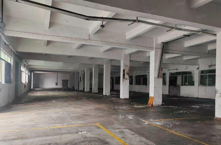 塘厦科苑城12元出租标准厂房一楼1200平方米五金加工