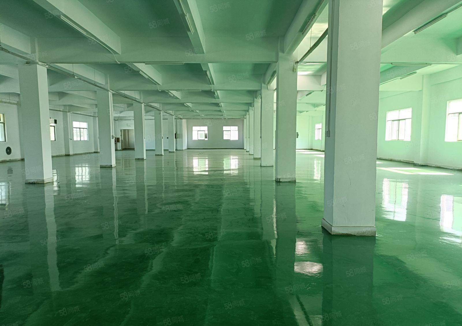 塘厦林村新出独院10000平厂房出租，精装修地坪漆现成办公室