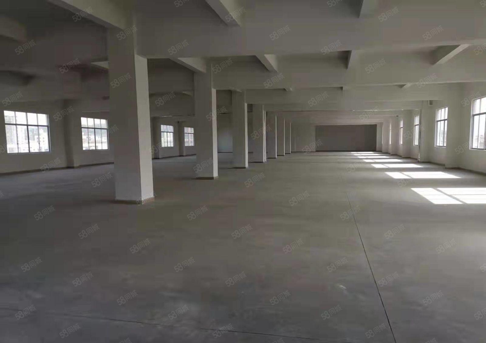 塘厦镇石鼓新出标准一楼1000平米厂房出租