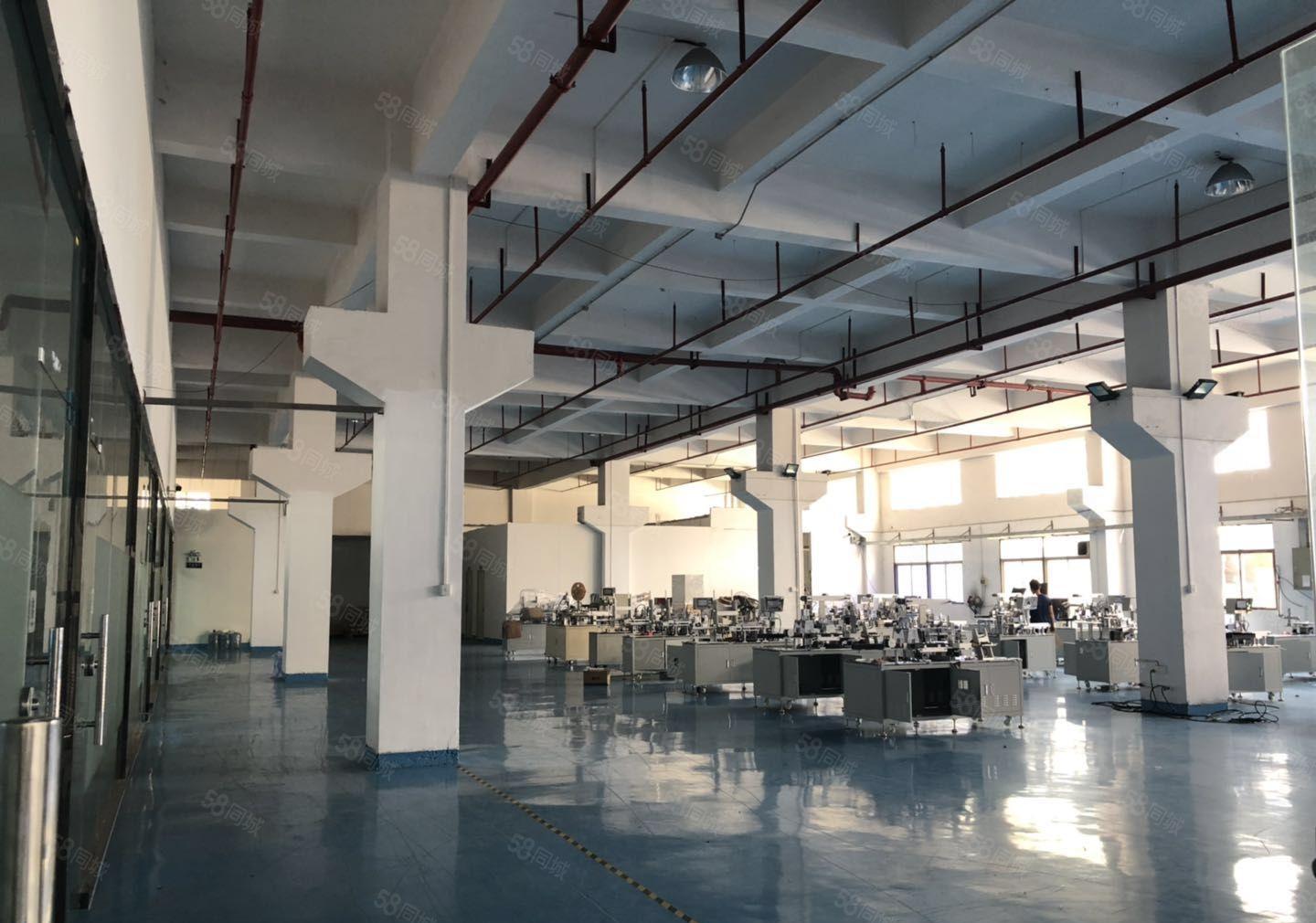 塘厦沙湖一手房东独院12000平方带装修大小可分厂房仓库出租