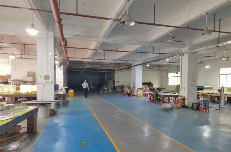 塘厦靠观澜新空二楼标准厂房，精装修办公地坪漆喷淋齐全出租