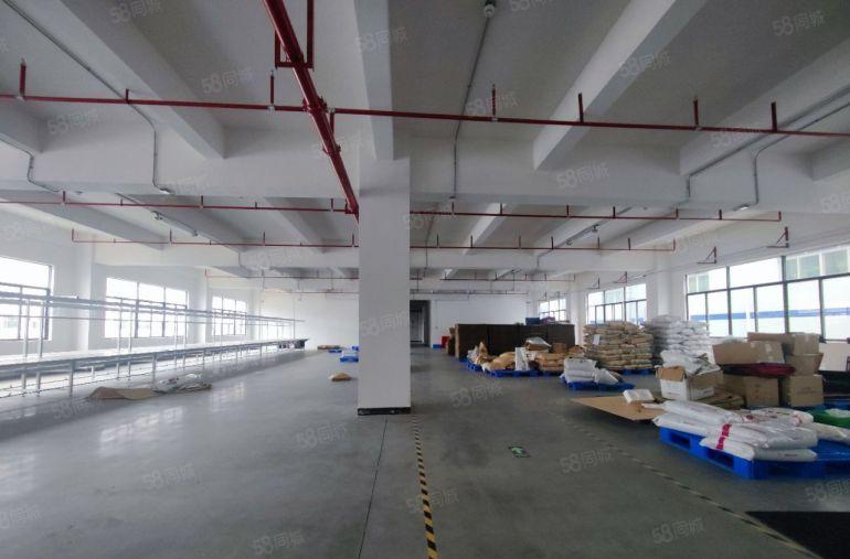 原房东实际面积租！塘厦平山新出厂房仓库二楼1500平出租