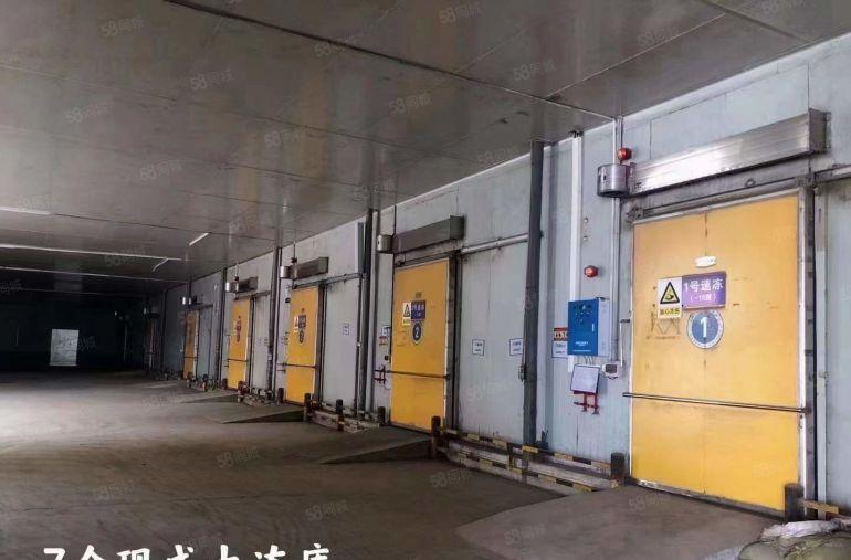 适合各类食物冻仓冷冻链企业入驻！！林村1600平厂房出租