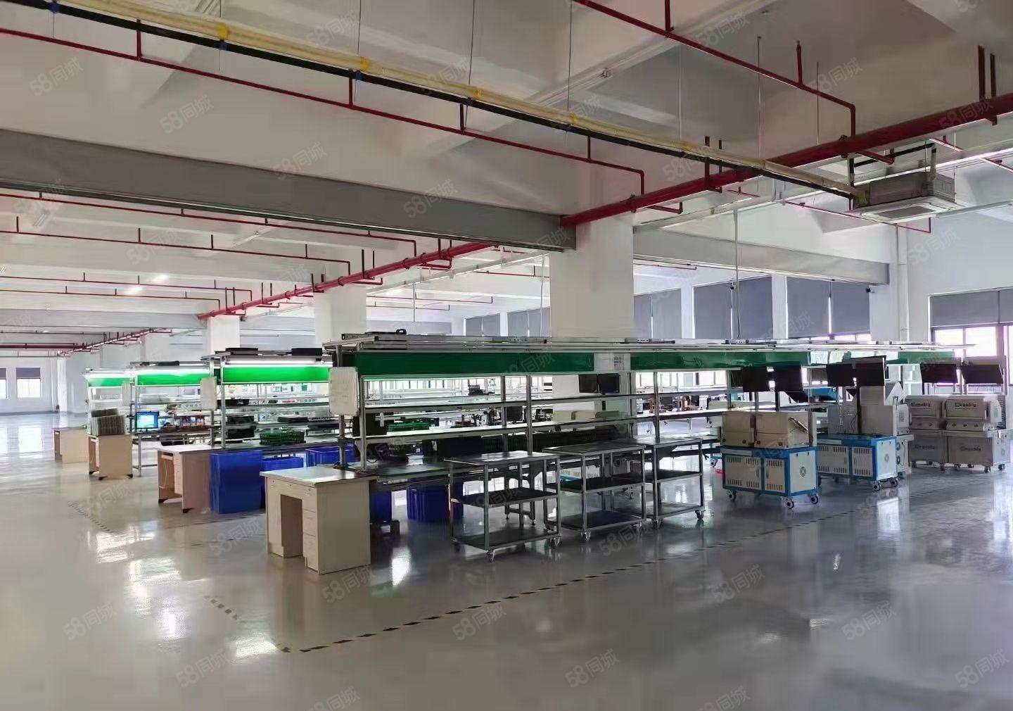 塘厦全新楼上厂房 原房东厂房急租15元每平 0公滩