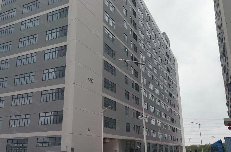 塘厦大坪500平起分原房东直租高新产业园独栋30000平整租