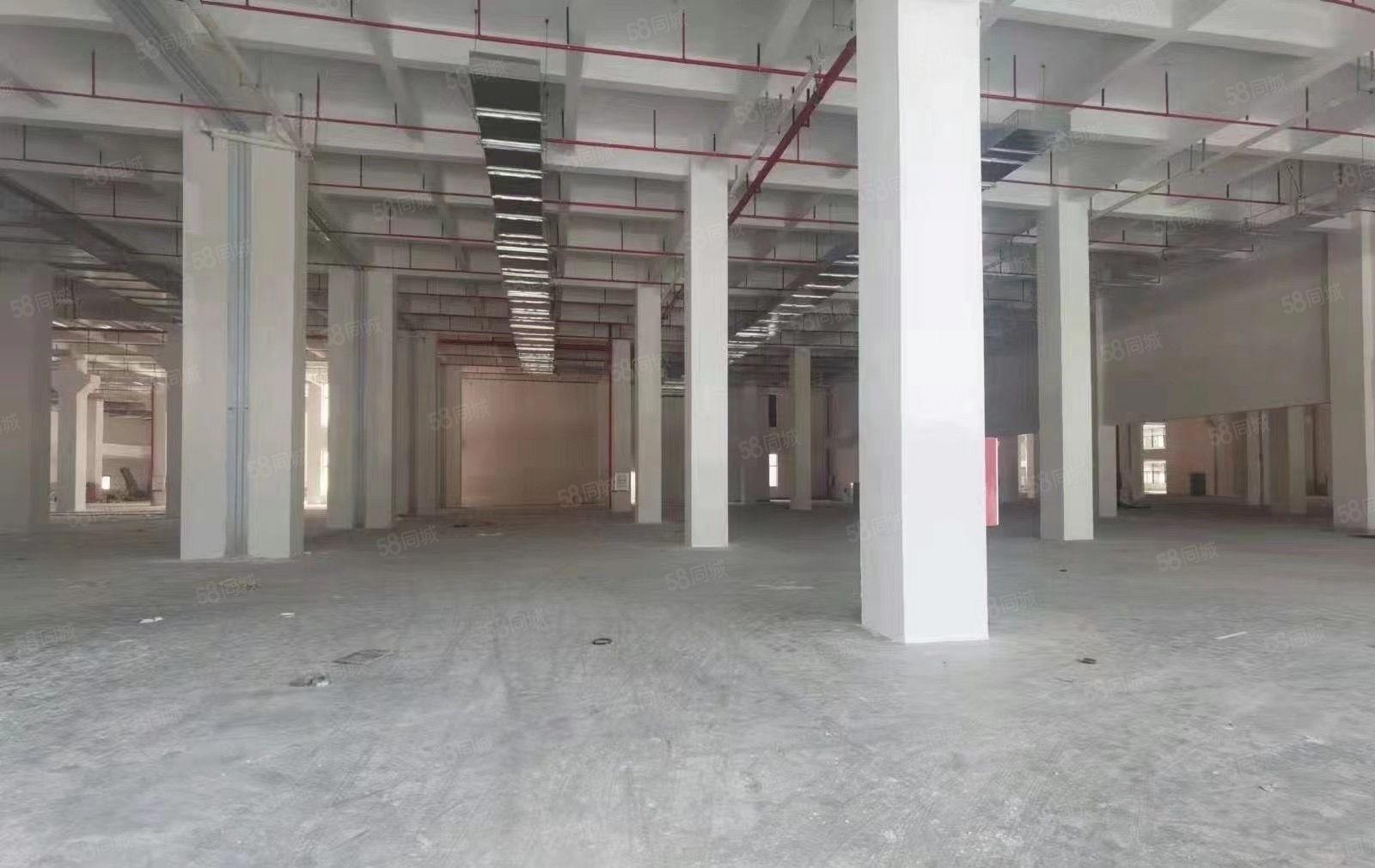 塘厦科苑城一楼9米红本厂房，消防喷淋大小分租