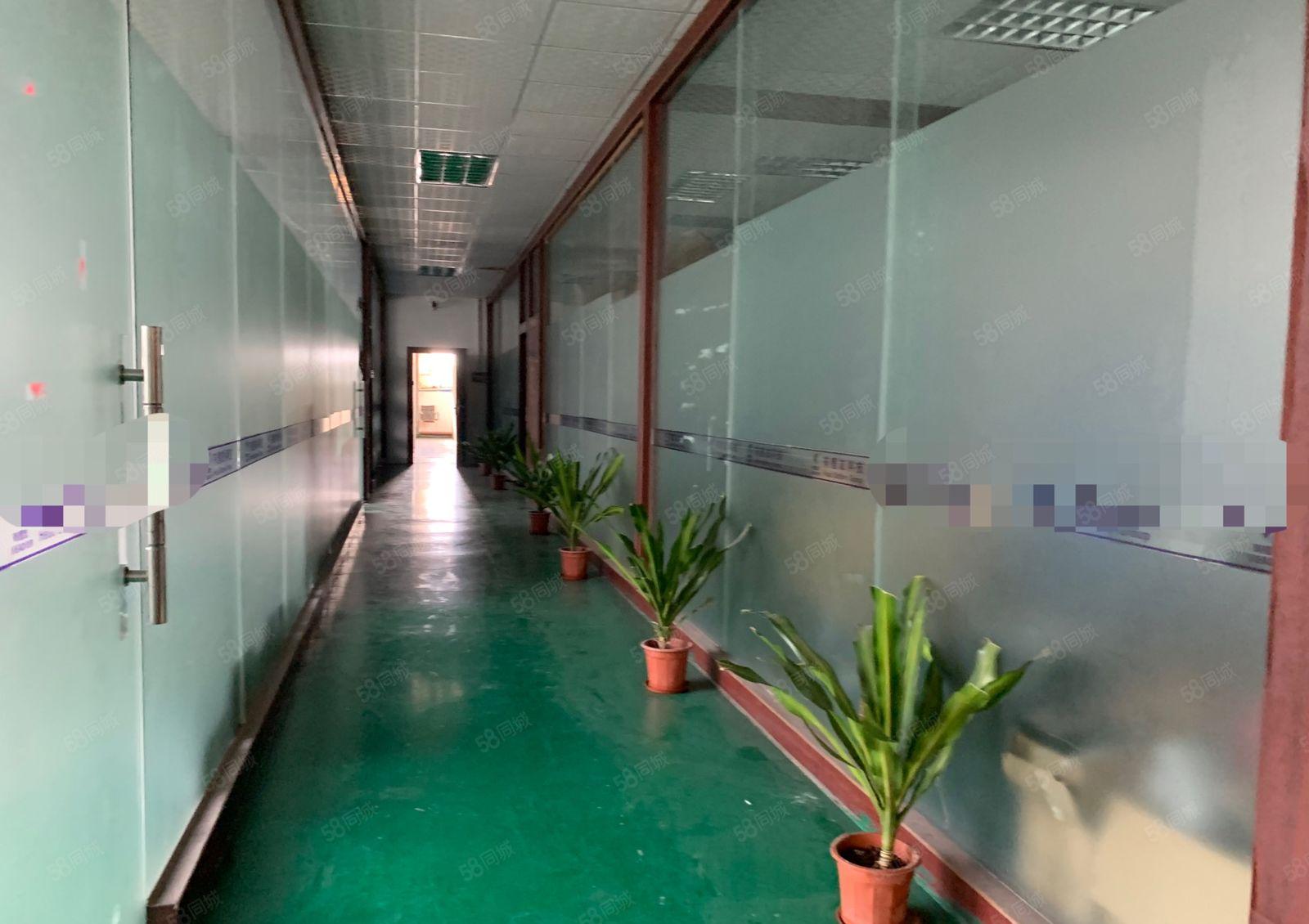 塘厦可以做电池厂房外环高速附近新出2楼1400平方带装修出租