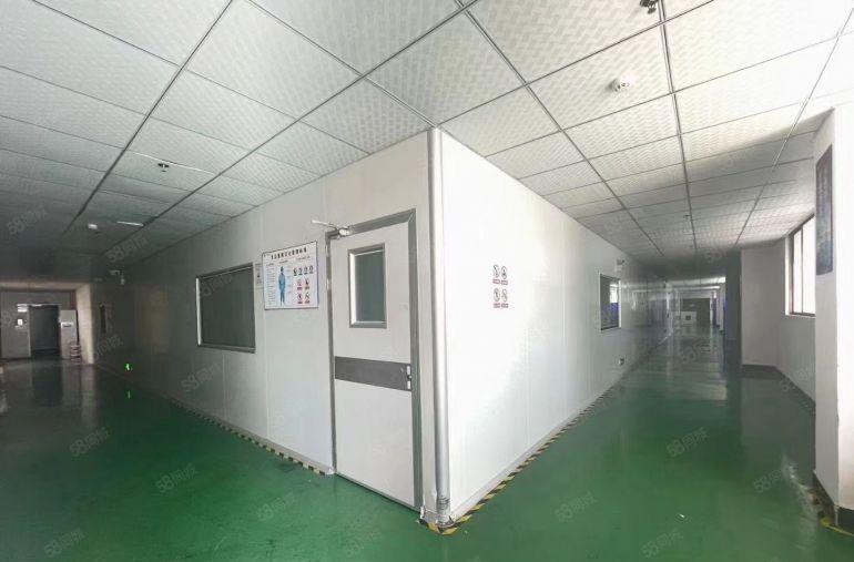 塘厦林村高速路口独院厂房出租2500平方，无尘车间，可分租