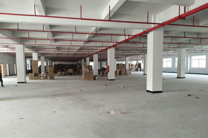 （一手房东直租，没有公摊）塘厦镇中心独院7850平方厂房出租