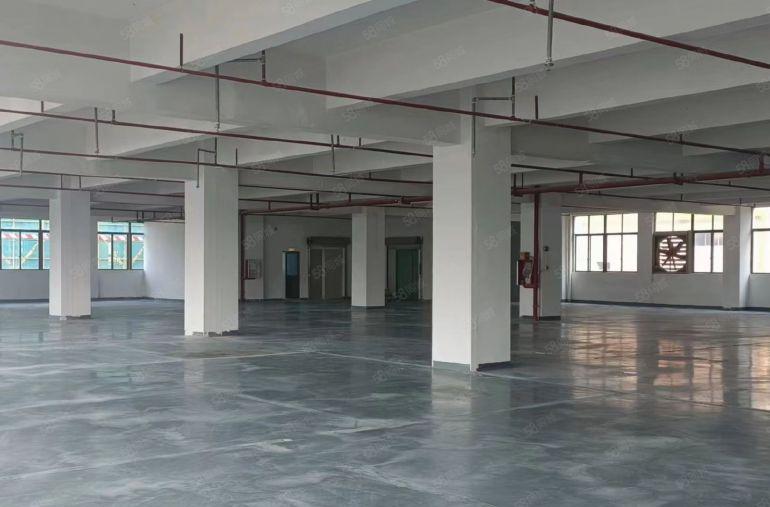 塘厦沙湖原房东，花园式超靓厂房分租