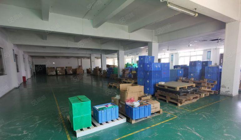 塘厦莲湖工业区独院厂房仓库850平方低价出租主干道旁易招工