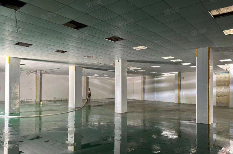 实业客来！塘厦迎宾高速独院一楼厂房带装修1100平出租，高6