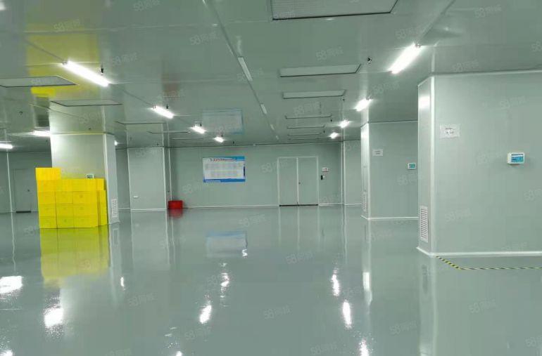 无尘车间！塘厦科苑城标准楼上3000平带装修厂房仓库低价出租