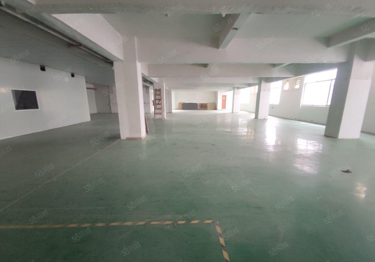 塘厦科苑城科技园楼上500平电子厂房带装修招租， 办公水电齐