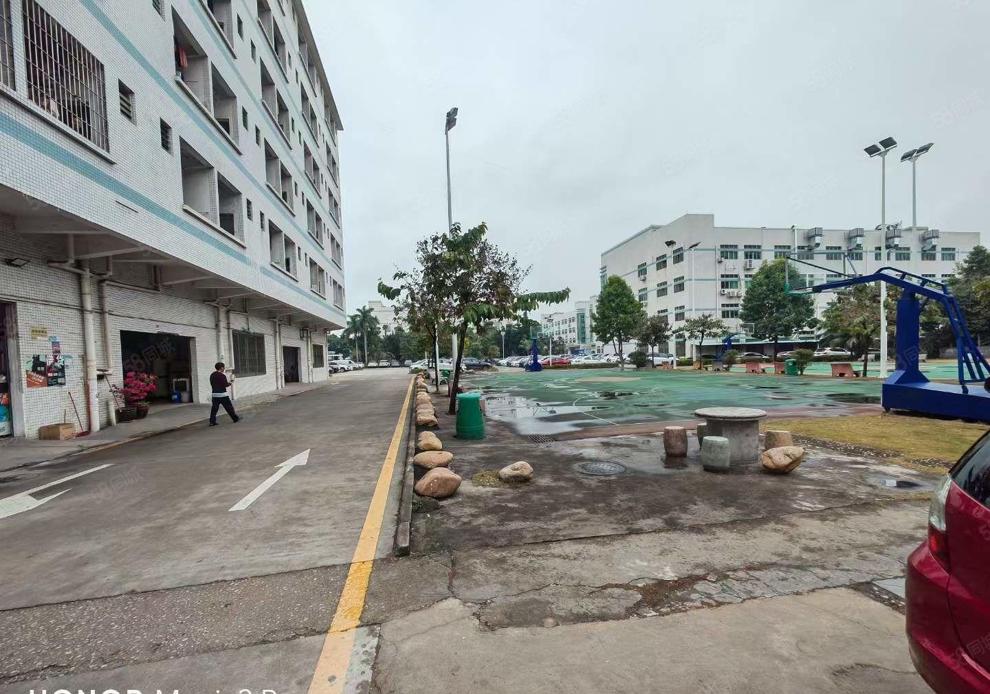 年底特惠！塘厦大坪3楼1000平带办公室装修现成线路大车可进