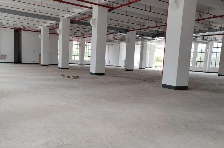 十万平方大型工业园厂房分租500平方起分租一楼8米高