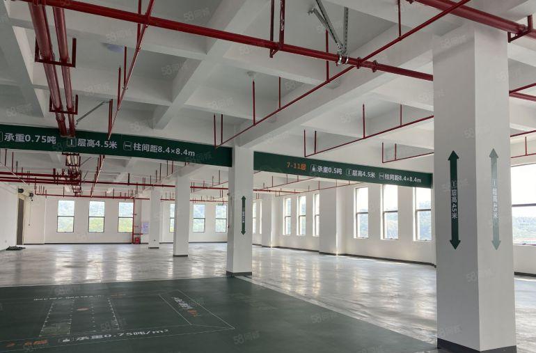 塘厦高标厂房出租，可分租，可办环评，企业必选！