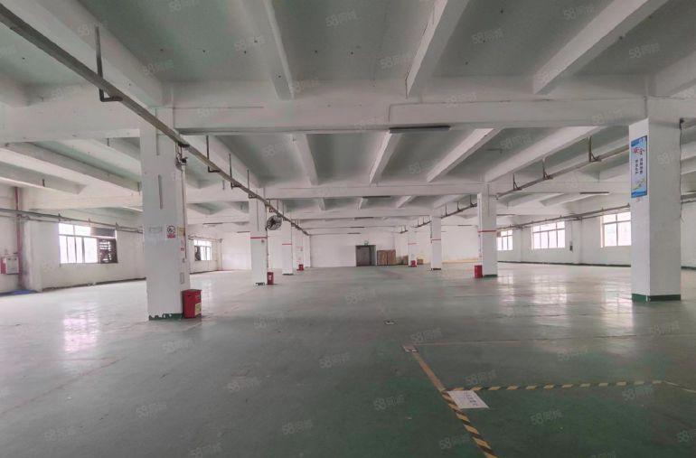 8元价格可谈塘厦原房东独院厂房1000平精装修办公室 可分租