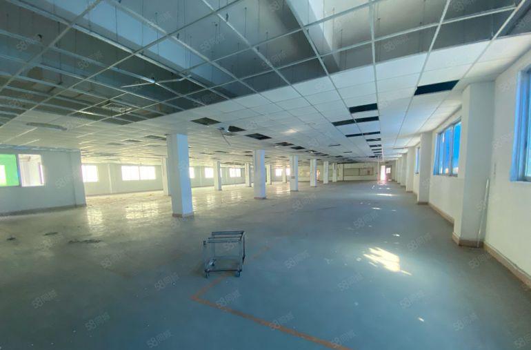 低价空地大塘厦168工业区新厂房装修出租电梯出租300起分组